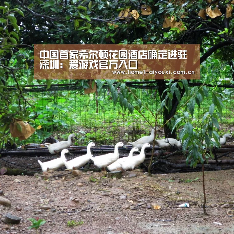 爱游戏官网
